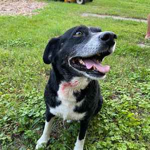 Meet your Posher, James